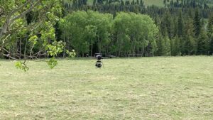 Shaun Johnston Instagram - My very first shot of the new season…. Jack looking over a few of his cattle in the foothills of the Mighty Rocky Mountains. I’ll take it! Sj. @official_heartlandoncbc #hlinprod