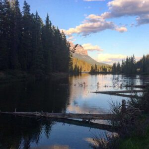 Shaun Johnston Instagram - Obviously, I just came through the Rockies. Here’s the thing. When you see it, ya just gotta pull over and go back and get it. It takes me 10 hours to travel the Rogers Pass. I guess I see a little too much. Ha. Sj