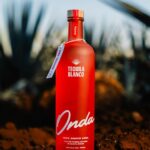 Shay Mitchell Instagram - No better way to celebrate our incredible team @beis our new office HQ and the launch of @drinkonda ‘s new tequila than with a party Thank you to everyone who made this all happen 🤠