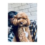 Shaznay Lewis Instagram - Happy Friday! 🖤 🐾