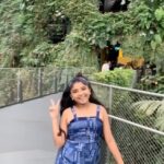 Sherin Thara Instagram - BeCoz #trendingnow #babysherin #babymayu #mayu #baakyalakshmi #vijaytelevison #explore #explorepage #trending #reels #instapost #instagram #insta #surya #funworld #happy #real #realpage #likes #likesforlike Garden By The Bay singapore