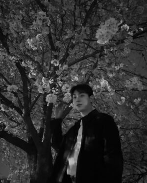 Shin Yong-seok Instagram - 벚꽃 막차 탑승!