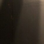 Shun Ishiwaka Instagram - 音博から一週間くらい経ってやっと現実に帰ってきました 完全にロスりました いつも素晴らしいですが本当に二日間素晴らしかったです。 ありがとうございました！ #音博 #音博2023 #京都音博 #京都音楽博覧会2023 @quruli_official @kishidashigeru @sato_qrl @arslonga_notch @daiki_matsumoto0508 @yutakanako