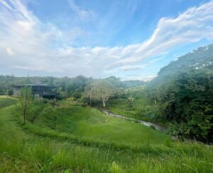 Siraphan Wattanajinda Instagram - 💚💚💚
