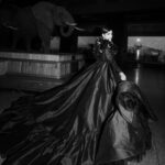 Sofia Carson Instagram - night at the museum Museum of Natural History