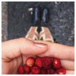 Sofia Vassilieva Instagram - Best start to the day! Walk through the woods, picking fresh forest berries. Taking a deep breath and simply enjoying #russianroots #littlegems #freshair #cleanair #brisk #wellies #aintnoforestlikethisinLA