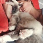 Solène Hebert Instagram - Je n’ai pas les mots, et sûrement pas envie de les avoir. Juste vous dire que Pablo s’est éteint aujourd’hui à 8 ans et demie. Son rein a finalement lâché après qu’il se soit battu pendant 4 ans. On lui avait annoncé 2 ans à vivre maximum. Mais il était têtu
