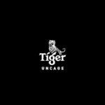 Son Heung-min Instagram - When you work hard for what you believe in, boldness finds a way. #TigerBeer #BoldnessFindsAWay #UncageYourTiger #Tiger #Son #SonHeungMin @tigerbeer