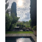 Son Ye-jin Instagram - 🌳