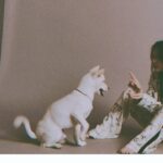 Son Ye-jin Instagram - 말 잘들으면 줄거야!🐕