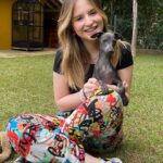 Sophia Valverde Instagram – Hoje é o aniversário de 2 aninhos da Charlotte 🥰 @clube_salatino 

Charlotte é uma cachorrinha especial, cheia de energia, carinhosa, companheira, que ama dormir comigo, que ama passear… 

O tempo voa e ela já está completando 2 anos ❤️

Quero ver todo mundo desejando um aniversário para o meu meu amorzinho: @amoresdasophiavalverde 🎂

#galgo #aniversario #happybirthday #amo #greyhound #clubesalatino Canil Salatino