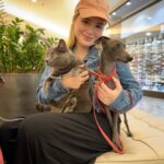 Sophia Valverde Instagram - Companheiras de passeio 💟 Vcs tb tem filhos pets? 🥰 Coloquem nos comentários se sim ou não e os nomes de cada pet de vcs 😍 #amo #pets #doglovers #catlovers #izzie #charlotte #greyhound #cat #dog #salatino