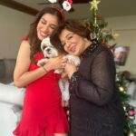 Sophie Choudry Instagram – Merry Xmas everyone! Hope your day was as full of love and yumminess as mine🌲❤️ #gratitude #xmas 

#christmasday #xmasfeels #christmastree #christmaslunch #littlereddress #santa #shihtzu #shihtzusofinstagram #foodcoma