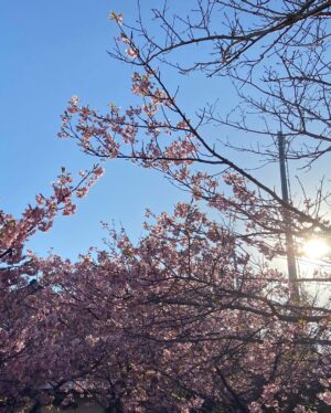 Soushi Sakiyama Instagram - 