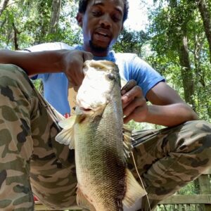 Spoken Reasons Instagram - Peace Is Everything! • #FCHW 🐟🎣💧