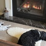 Stefan Dennis Instagram - First day with the fire on... didn’t take these two long.