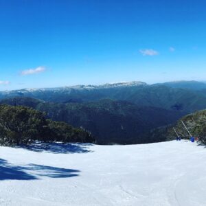 Stefan Dennis Instagram - Guess what I chose to do this weekend. Gorgeous isn’t it?