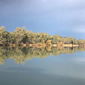 Stefan Dennis Instagram - On a houseboat on the Mighty Murray River and this is the sort stuff that makes the trip valuable.