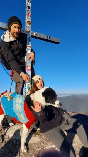 Steph Bumelcrownd Instagram - ⚠️ ¿Que ganamos con dañarnos entre nosotros? Si estamos compartiendo este espacio 🌍 en este tiempo .•AQUÍ Y AHORA.• ☀️TODOS somos compañeros de viaje 💥✌🏻🍀✨ 🌱. •⚡️ #diamundialdelmedioambiente #diamundialdelmedioambiente🌍