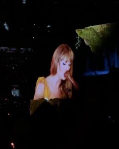 Stephanie Styles Instagram - Taylor is my boyfriend. Taylor is a god. Taylor is the breeze in my hair on the weekend. ✨🧹💎🍋 #latstheerastour #taylorswift #tstheerastour SoFi Stadium