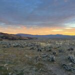 Steve Austin Instagram – Back home after spending a few days with @nevadahuntingservices in unit 012. Goddam, what a blast. Mitch is a helluva guide and it seems every adventure is more epic than the one before..
Thank you, brother Mitch. Looking forward to the next one. 
#nevada #muledeer #deer #usa #america 
#horses #hunting #camping 
#outdoors #nevadahuntingservices