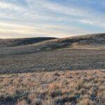 Steve Austin Instagram – Back home after spending a few days with @nevadahuntingservices in unit 012. Goddam, what a blast. Mitch is a helluva guide and it seems every adventure is more epic than the one before..
Thank you, brother Mitch. Looking forward to the next one. 
#nevada #muledeer #deer #usa #america 
#horses #hunting #camping 
#outdoors #nevadahuntingservices