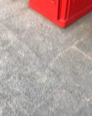 Suzy Antonyan Instagram - I’m gnna regret posting this stupid video