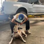 Sydney Sweeney Instagram - ahhhhhhh!!!!!! im super excited to share my newest workwear collection inspired by my new baby, a vintage @fordmustang 💙 #ad Disclaimer: Custom vehicle shown. Not available for sale. Always refer to the owner's manual before performing vehicle maintenance. Limited supply available.