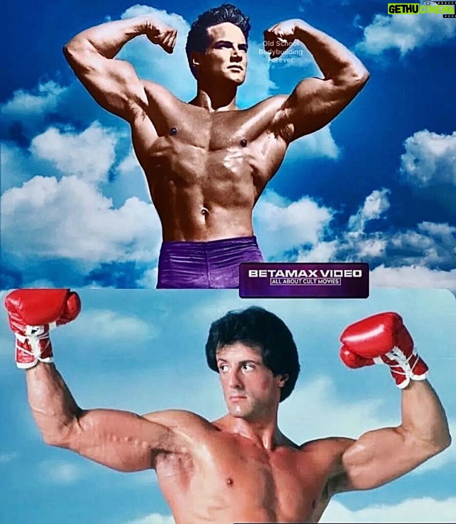 Sylvester Stallone Instagram - This is kind of interesting. This is a picture of the great Steve Reeves. I was a skinny 12 year old when I went in to a movie theater and saw a film called “Hercules Unchained “ starring this man… I felt my brain catch on fire, and I finally found a role model. I ran out of that theater, and since there were no gyms around, I went to a junkyard and started lifting metal parts which I duplicated in Rocky 2 , and that day my life changed FOREVER! …. You never know when you wake up in the morning, what’s going to change your life! Keep punching!