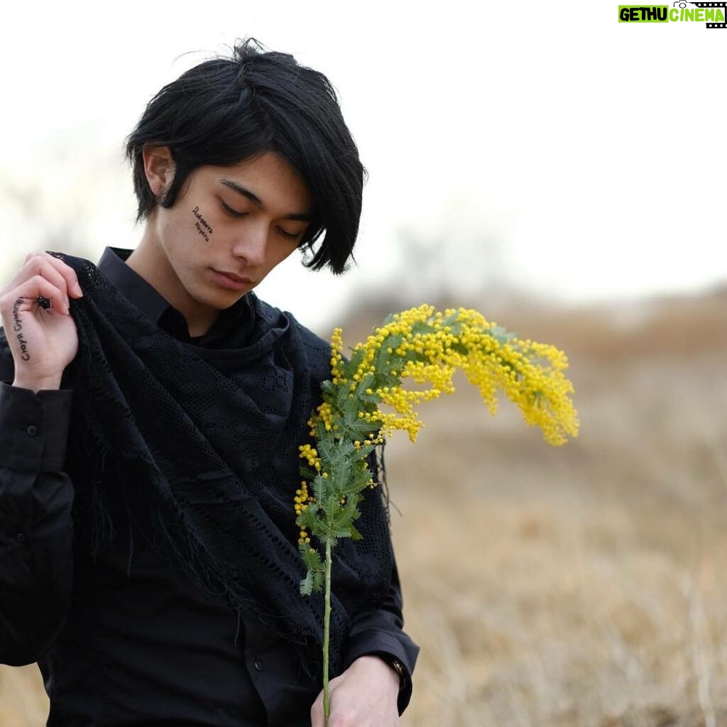 Syuya Sunagawa Instagram - 何の花だろう。 #撮影#モデル#カメラ#白黒#楽しい#砂利道#綺麗#黒#スカーフ#シャツ#花#草#黄色