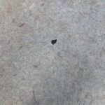 T.J. Thyne Instagram - “Love Is All Around” series continues. 😊💕 just strollin through the city streets, seein it everywhere. Happy weekend all😀