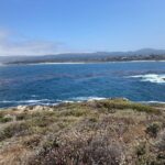 T.J. Thyne Instagram - 🎶 On the road again, Goin' places that I've never been, Seein' things that I may never see again, And I can't wait to get on the road again!” 🎶 love me some California 🚗 😊