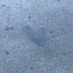 T.J. Thyne Instagram - Some of mine, and a few of yours. I LOVE that you are finding them in your own cities, towns, countries. In your strolls, hikes, and all around! Keep lookin, it’s everywhere ❤️ (and thanks for sending 😊.)