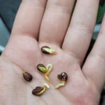 T.J. Thyne Instagram - Some of mine, and a few of yours. I LOVE that you are finding them in your own cities, towns, countries. In your strolls, hikes, and all around! Keep lookin, it’s everywhere ❤️ (and thanks for sending 😊.)