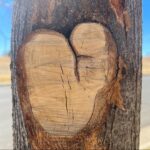 T.J. Thyne Instagram - Some of mine, and a few of yours. I LOVE that you are finding them in your own cities, towns, countries. In your strolls, hikes, and all around! Keep lookin, it’s everywhere ❤️ (and thanks for sending 😊.)
