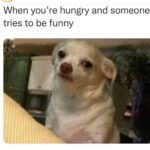 Tacarra Williams Instagram - I mean…. Where the wings…. CHIPS AND SALSA!!! ANYTHING!! LAX Airport