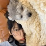 Taeyeon Instagram - 에휴