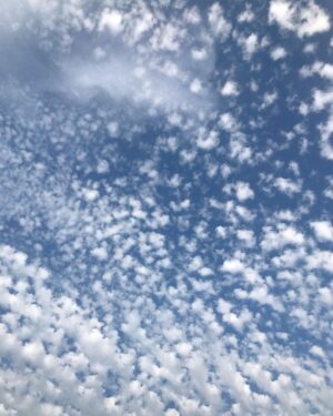 Tamzin Merchant Instagram - Instead of watching my phone, I am going to watch the clouds 💙 
And (so my phone doesn’t get in the way of my view of the sky) I am taking a break from social media for a while. 😘