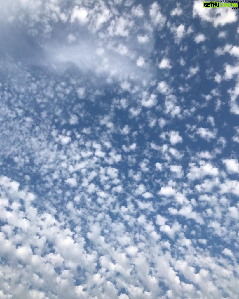 Tamzin Merchant Instagram - Instead of watching my phone, I am going to watch the clouds 💙 And (so my phone doesn’t get in the way of my view of the sky) I am taking a break from social media for a while. 😘