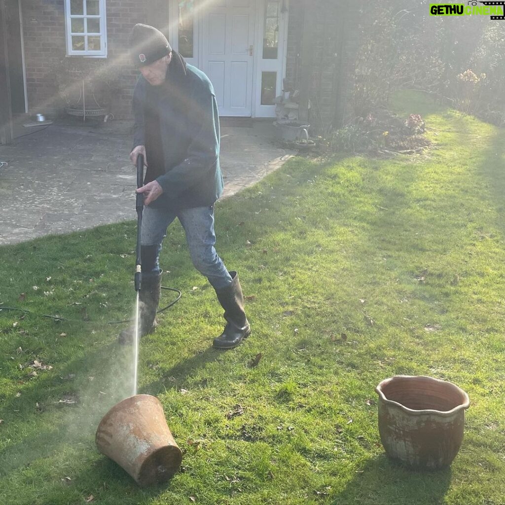 Tamzin Merchant Instagram - Signs of Spring 💛🌼🌸 Daffodils blooming, tiny buds breaking... and my dad going full Ghostbusters with his jet-washer on a plant pot 😂