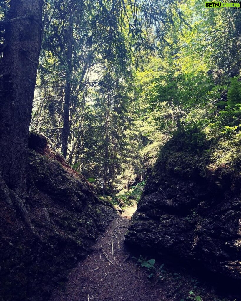 Tamzin Merchant Instagram - The way through the woods ✨