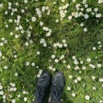 Tamzin Merchant Instagram - Maydaisies 🥰