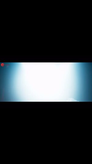 Tanishk Bagchi Instagram - Dance karne ke liye taiyaar? #VeFukrey out now.

@pulkitsamrat  @fukravarun @oyemanjot  @pankajtripathi @therichachadha  @mriglamba  @excelmovies @ritesh_sid @faroutakhtar @boscomartis @twaritanagar @juhi.bhatt @raisr.sanchi  @vipulhappy @amalendu_dop @kassimjagmagia @vishalrr @imanojchouhan @tanishk_bagchi @devnegilive @aseeskaurmusic @shabbir_ahmed9 #KrishnaKishor @itsganeshwaghela @ericpillai @adelepereira27 @aafilms.official @zeemusiccompany