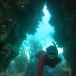 Tanya van Graan Instagram - If these walls could talk... 🌊💙 #LifeHiddenBelow #Aframe #saveouroceans Simon's Town
