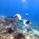 Tanya van Graan Instagram - Monday in the big blue with Blacktip sharks...🌊💙🦈 . . . . #PigeonIslandNationalPark #SriLanka #Trincomalee #freediving #protectsharks #SaveSharks #seaturtles #OneOcean @sashaafernando #divewithsashaa @sri_lanka_diving_tours_ Pigeon Island National Park