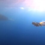 Tanya van Graan Instagram - In the presence of giants... 🐋🙏🏼 . . . #Bluewhales #Srilanka #trincomalee #freediving #NingalooFins #ChasingTheBlues #Fast Thank you @sri_lanka_diving_tours_ @sashaafernando and amazing crew for this magical experience!🙌🏼🙏🏼🐋💦