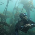 Tanya van Graan Instagram - What is Citizen Science? Citizen Science is public participation in scientific research; everyday people can play a part in collecting data! @caperadd encourages citizen science by hosting divers and snorkelers on a data collection experience. 🌊🙌🏼🐟🦈🐠 Check them out! 😎🤙🏼 #NeverStopLearning #ProtectOurOcean #CapeTown #GetInvolved