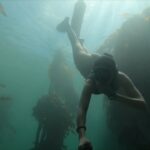 Tanya van Graan Instagram - Most people fear venturing deeper into the ocean, and the presence of sharks🦈... I say fear not only of missing out, fear that one day we might not even have the choice... #Protect 🌊 @4ocean #4oceanpartner #Oneocean #SaveSharks #simonstown #KelpForest #Freediving #goprohero7 #TigerSharkFins @ningalooswimwear 💙🙌🏼🙏🏼😘 @iamjuliawheeler Simon's Town