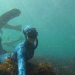 Tanya van Graan Instagram - The best way to observe a fish is to become a fish. 🐟🐋🦈🌊 🧜🏼‍♀️ #JacquesCousteau✨ #wisewords #freedive #capefurseals #oceanlovers 💙 Hout Bay