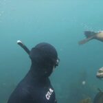 Tanya van Graan Instagram - Seal to seal conversations...🤗💙. . . . #MagicalWorldBelow #CapeFurSeals #HoutBay #OceanLove #freediving #HappyMe 🌊💙 Hout Bay I Cape Town